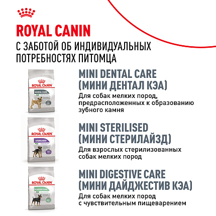 Royal Canin Dachshund Adult Корм сухой для взрослых собак породы Такса от 10 месяцев, 7,5 кг